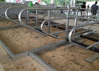 la vache à tuyau galvanisée par épaisseur de 3mm calent librement pour des fermes de vache laitière