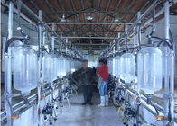 Exploitation laitière galvanisée à chaud trayant le salon de traite d'arête de hareng avec la garde d'éclaboussure
