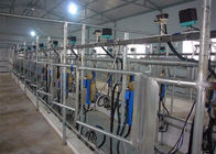 Salon de traite automatique avec le système de mesure automatisé de lait d'Electroinc
