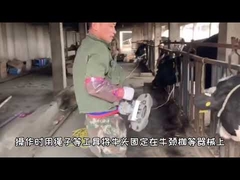 Écorneur de vache électrique ergonomique galvanisé à chaud