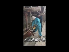 Écorneur de vache à grande vitesse pour ferme, double bouton ergonomique