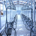 Système en arête de poisson de salon de traite de mesure en verre automatique de lait