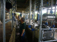 Salon de traite en arête de poisson de traite automatique de compteur de débit pour l'exploitation laitière