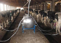 Salon de traite de vache/chèvre à canalisation avec un conduit de transport de lait