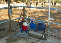 Vaches/machine à traire portative en aluminium seau de moutons avec le seau sanitaire