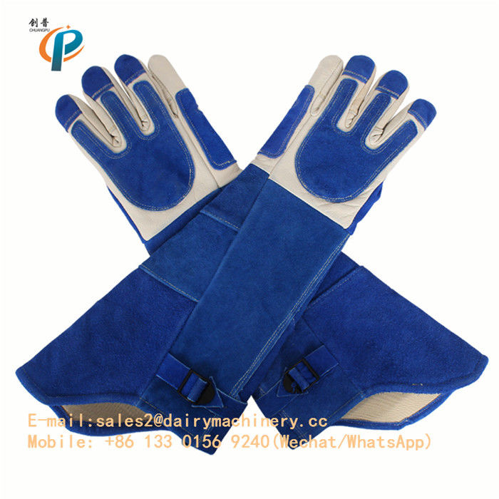 Gants animaux de contrôle de cuir bleu de couleur, animal manipulant des gants pour le chien/chat